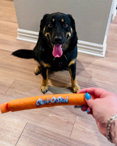 Chick O Stick Dog Toy