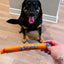 Chick O Stick Dog Toy